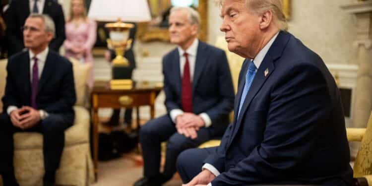 President Donald Trump