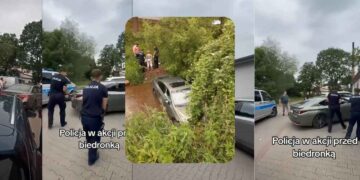 Bolków biedronka
