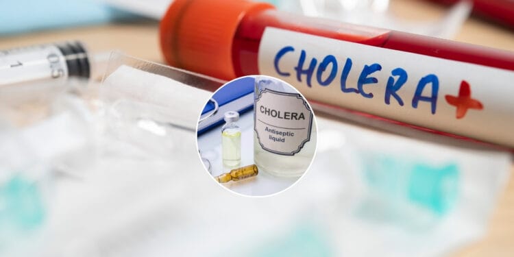 Pierwszy przypadek cholery w Polsce od lat - sprawdź czy grozi nam większe zagrożenie