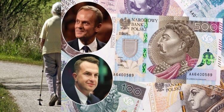 Tusk nie zabierze pieniędzy z PPK - rząd ucina plotki