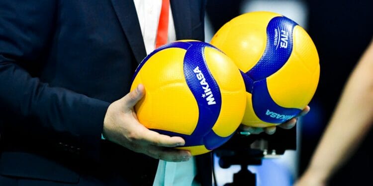 a person holding a blue and yellow ball