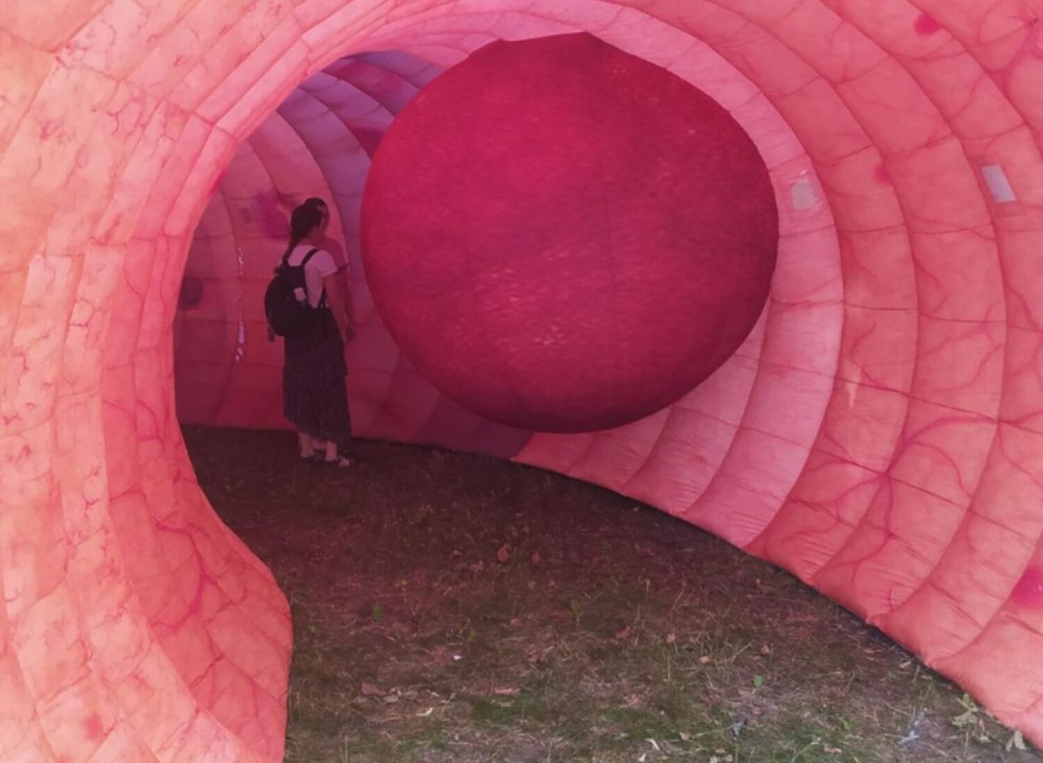 Jelito 1600 X 1170 Px 1500x1097