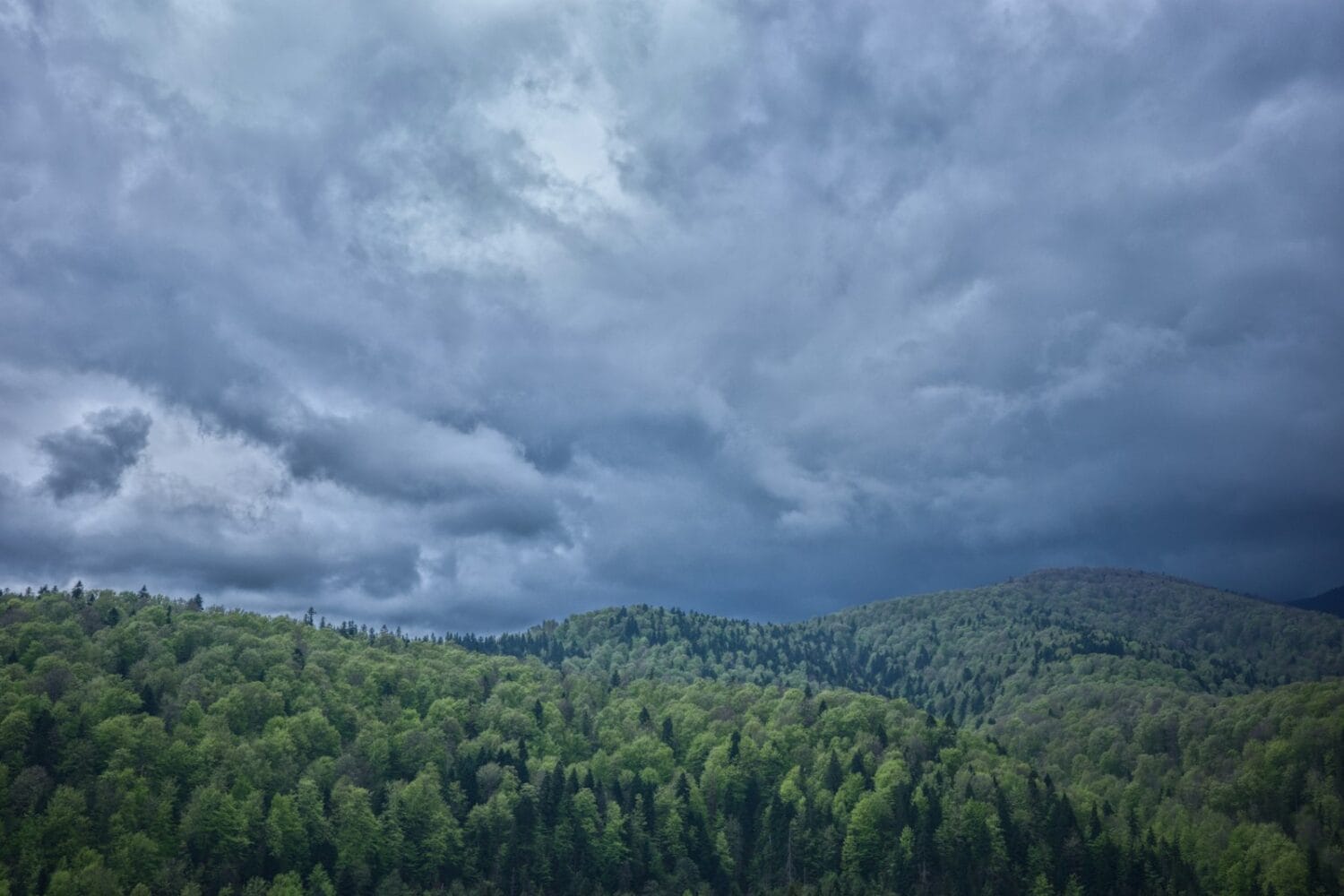a landscape with trees and clouds