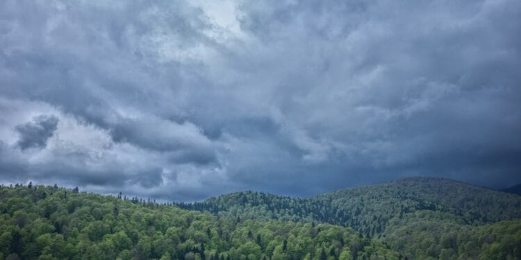 a landscape with trees and clouds