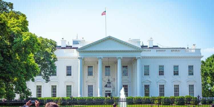 people in front of white and green concrete building during daytime