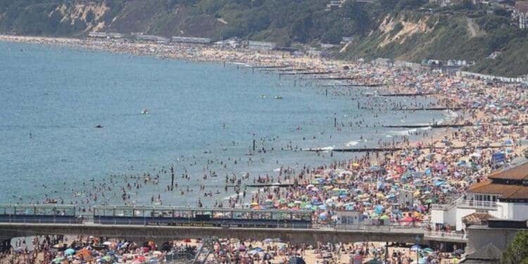 Foto: x.com/m0n1c23k