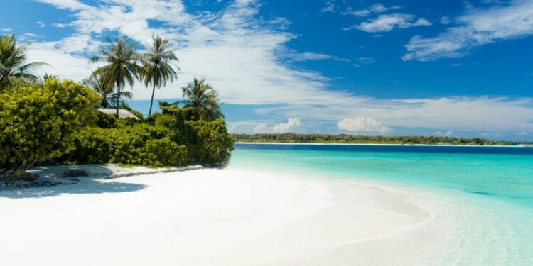 shore during daytime