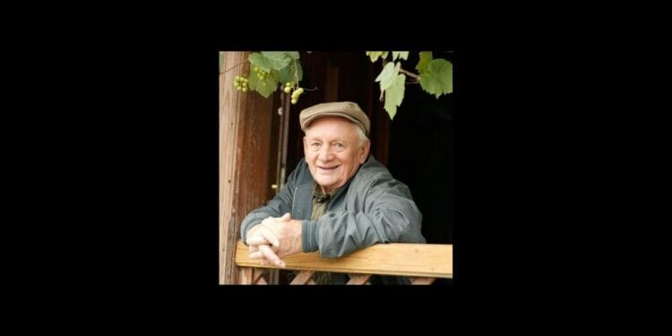 Lucjan Mostowiak powrócił do M jak miłość dzięki AI [FILM]