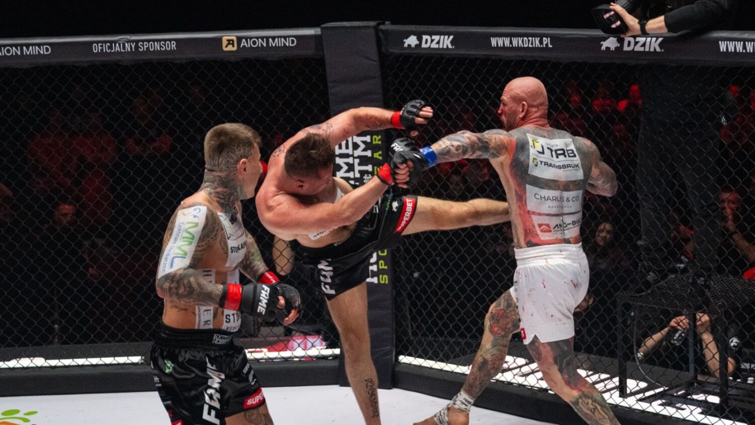 fame mma 28 gleba vs sejczento i koziołek