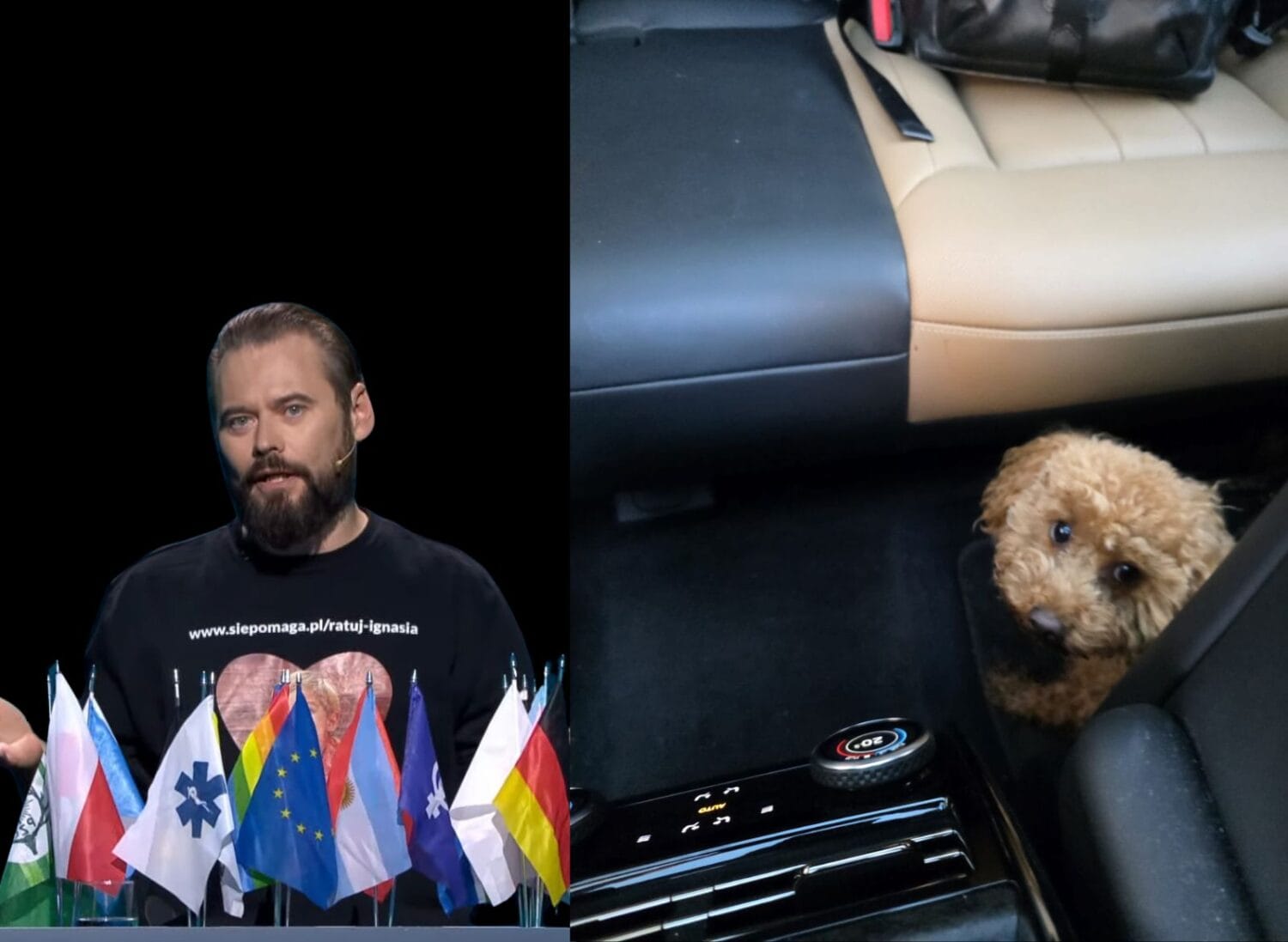 Krzysztof Stanowski uratował psa – filmowy pościg na ulicach Warszawy