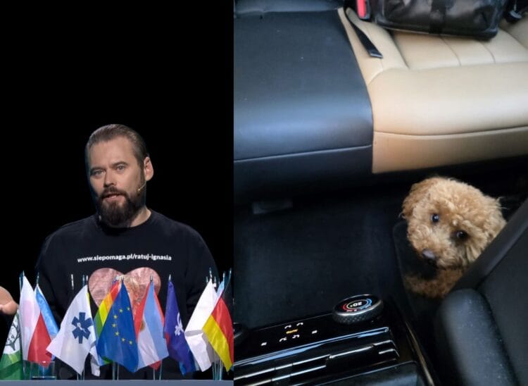 Krzysztof Stanowski uratował psa – filmowy pościg na ulicach Warszawy
