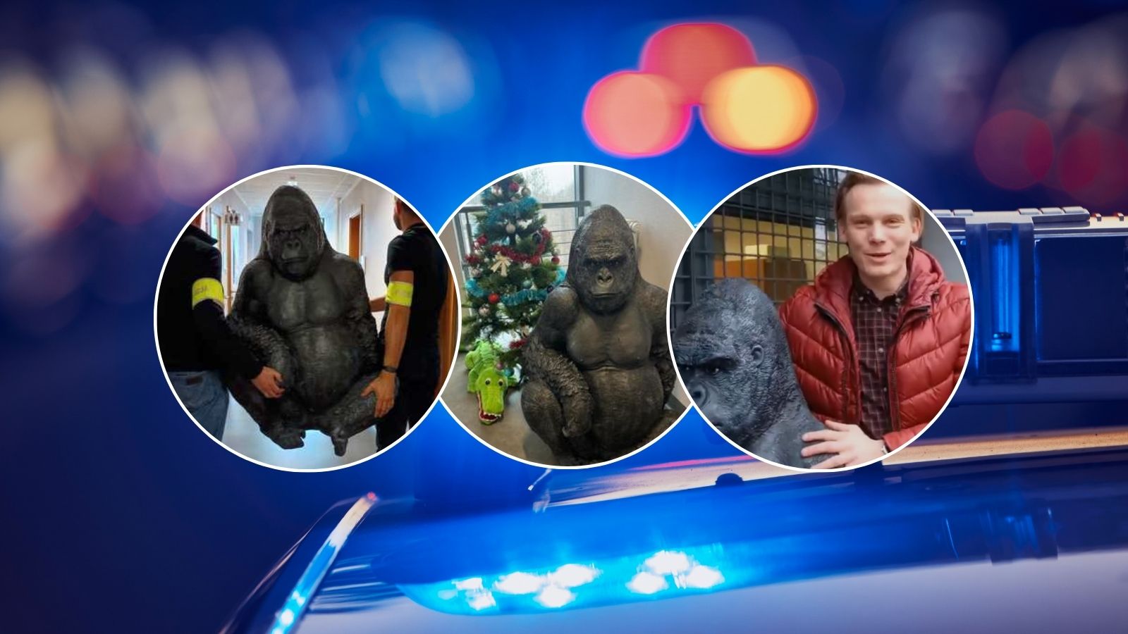 Uprowadzony Goryl, policjanci i właściciel