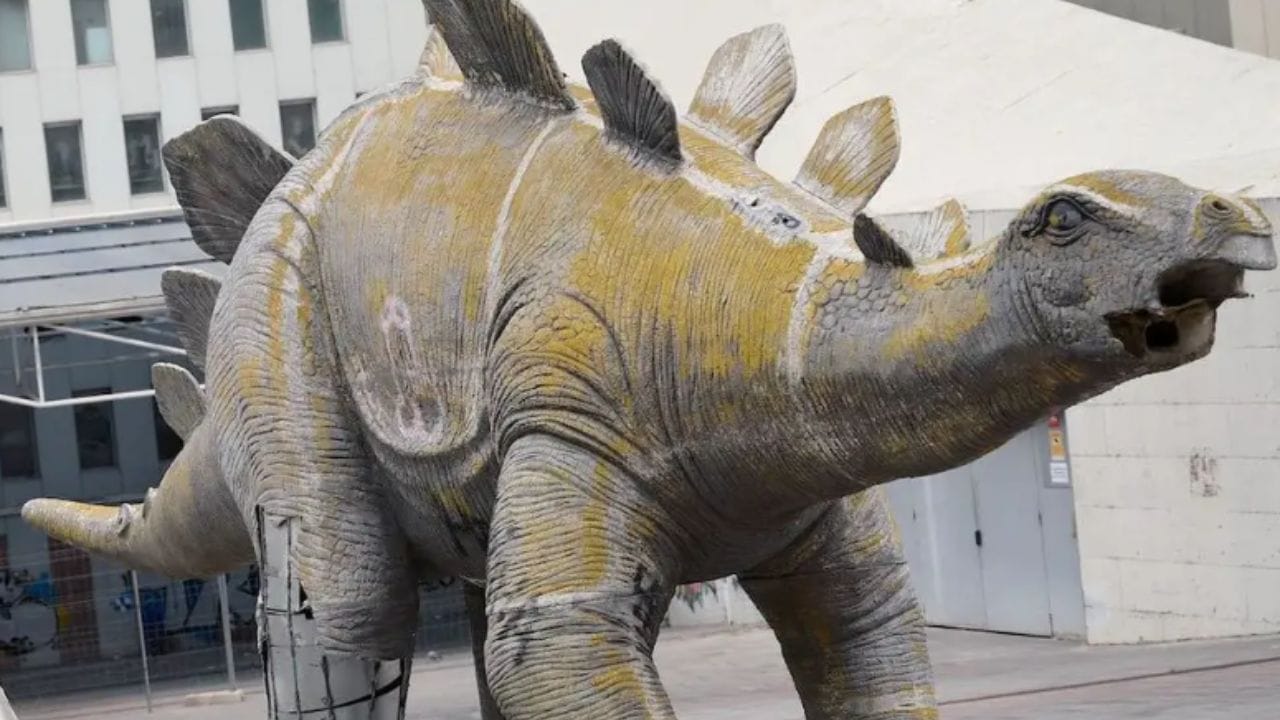 Twoje Centrum Informacji