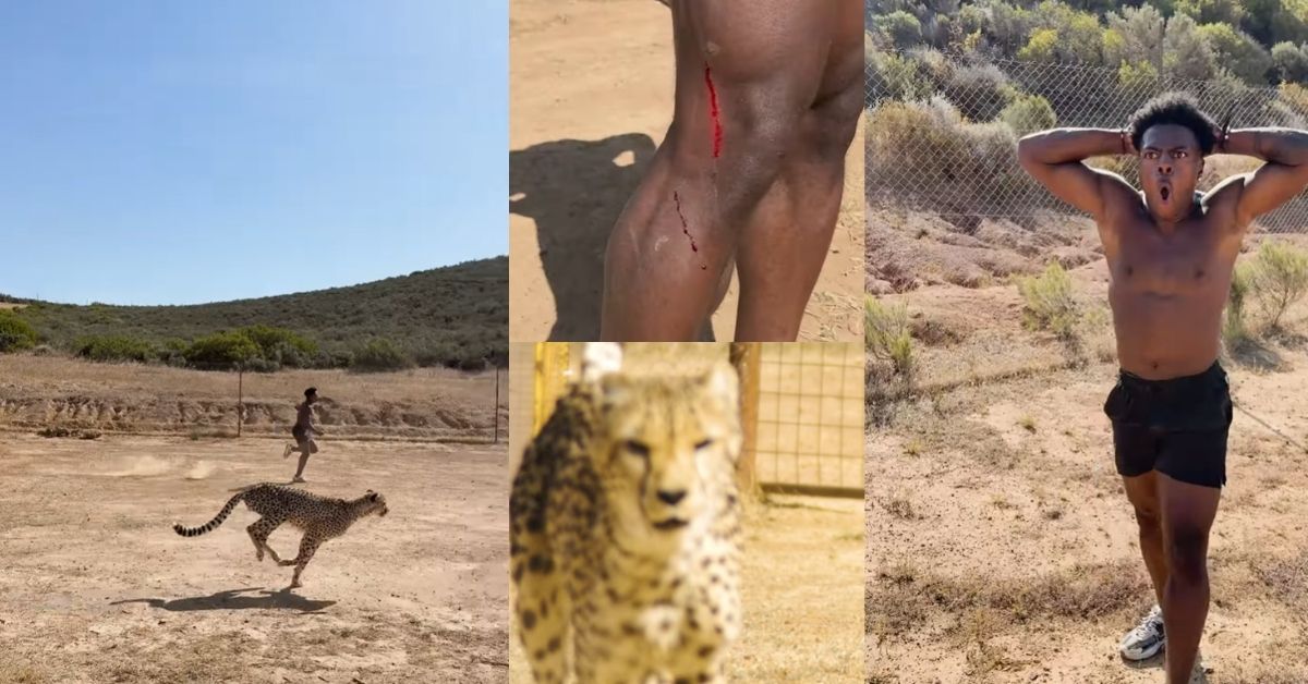 Streamer IShowSpeed w epickim wyścigu z gepardem