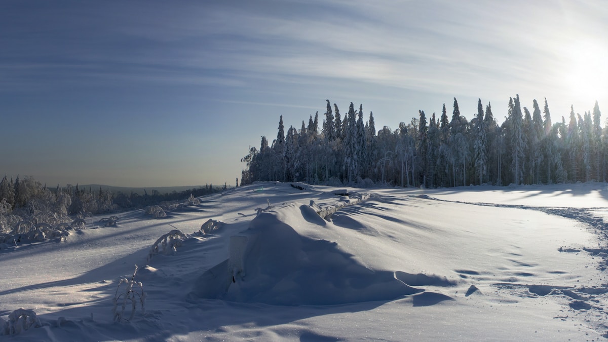 Zaśnieżone góry Uralu zimą, miejsce tragedii grupy Diatłowa