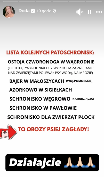 Doda o patoschroniskach w Polsce - sprzedają psinę jako mięso do Azji, sprzedawane do zoo****ów do Berlina Doda o patoschroniskach w Polsce - sprzedają psinę jako mięso do Azji, sprzedawane do zoo****ów do Berlina