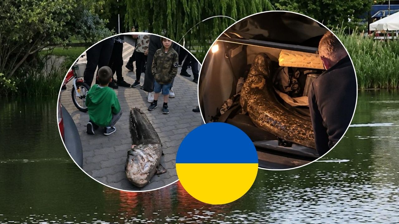 Ukrainian Sum Warsaw expelled