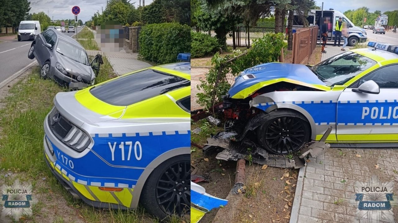 mustang policja