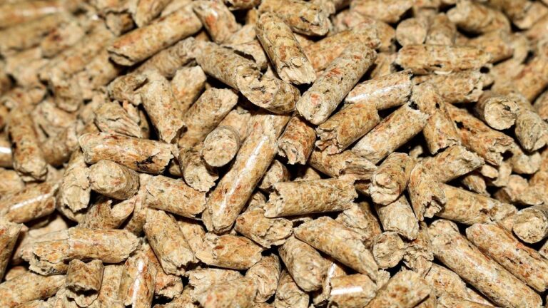 Zbliżenie na drewniane granulaty pelletu opałowego, ułożone w dużej ilości na jasnym tle.