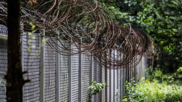 Metalowe ogrodzenie z siatki i zwojami drutu kolczastego biegnące wzdłuż granicy w zielonym lesie
